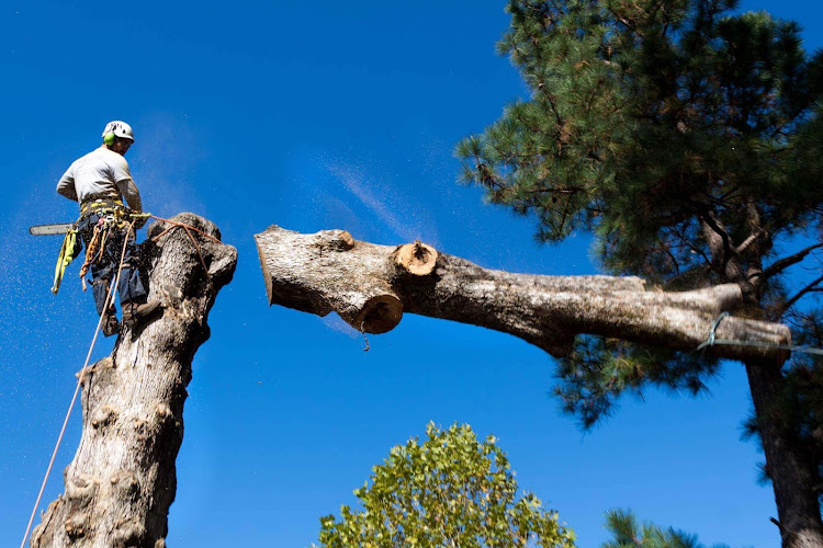 Kal Kula Contracting Services in Boulder
