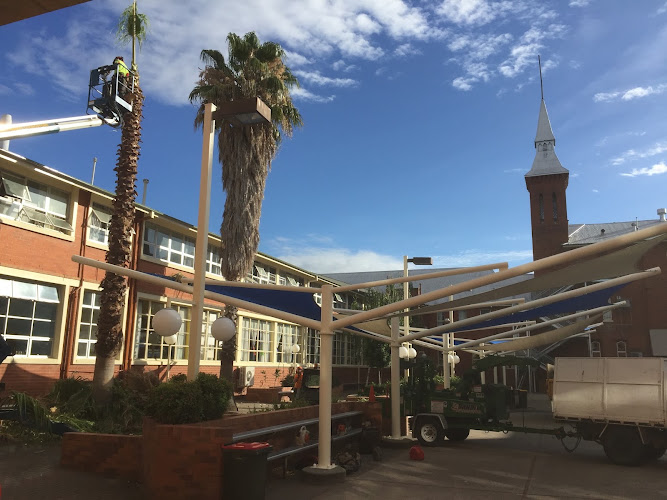 Livingstone Tree Service in Orange
