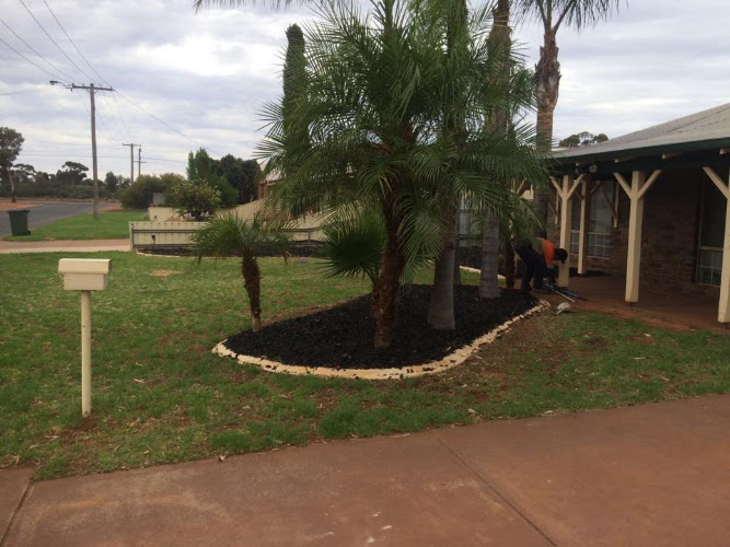 M and A Tree Lopping in Kalgoorlie
