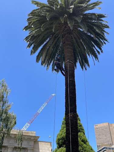 Melbourne Tree Care in Melbourne