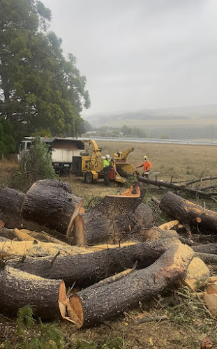 Merri Tree Services in Warrnambool