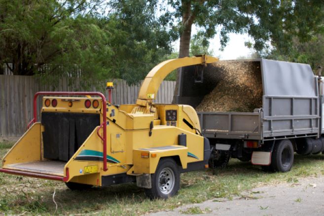 Moreton Bay Tree Services in North Lakes