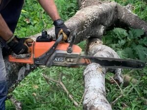 Mower Rangers Gold Coast Garden Care in Gold Coast