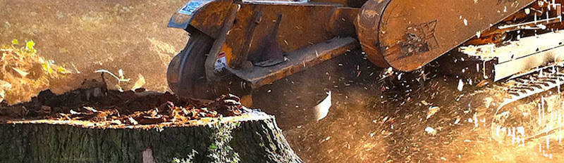 Northside Stump Grinding in Kallangur