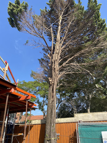 NorthWest Tree Care in Melrose Park