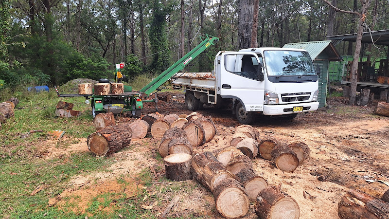 Nowra Tree Services in Worrigee