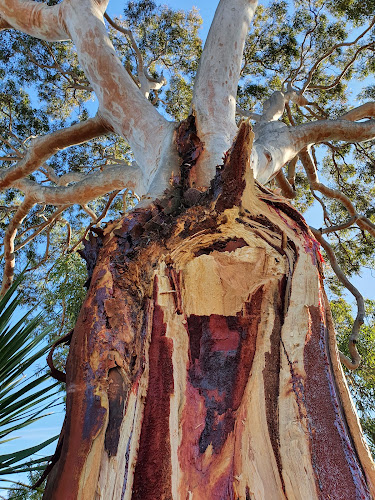 Precision Tree Company in Berwick