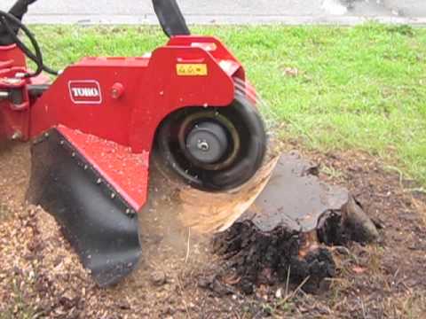 Primal Urge Stump Grinding in Newcastle