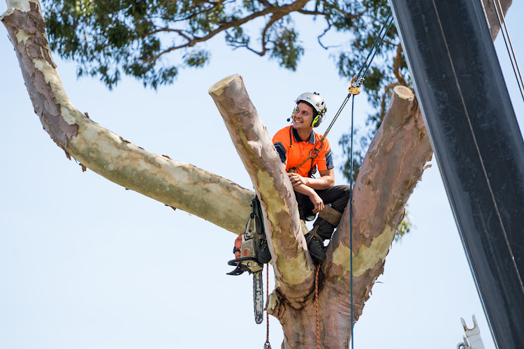 Rennie Bros Tree Services in Kirrawee