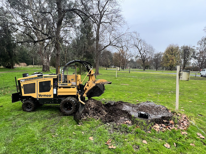 Riverina Tree Care in Wodonga
