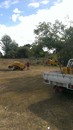 Rockhampton Tree Services CQ in Park Avenue
