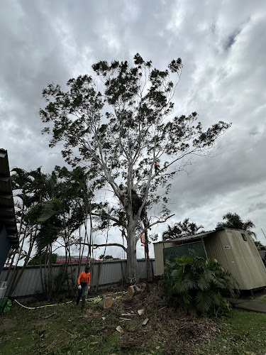 Rum City Tree Service in Bundaberg