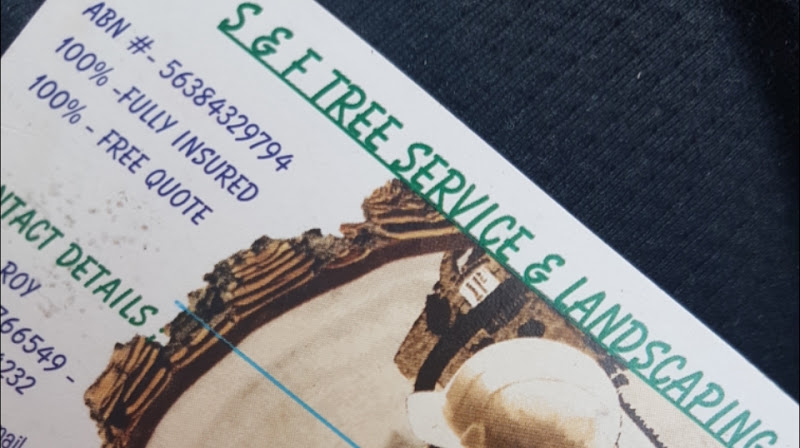 S & F tree service & landscaping in North Booval