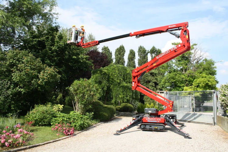Same Day Tree Works in Hawthorn