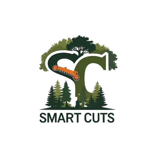 Smartcuts in Logan