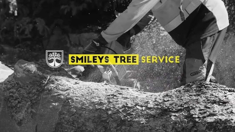 Smileys Tree Services in Logan
