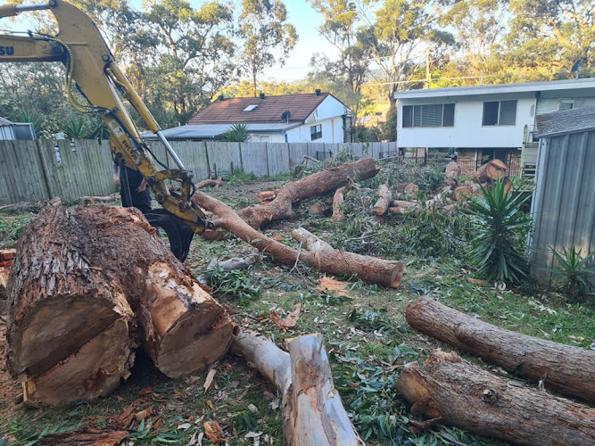 Solutions Arborist Services & Tree Removal Penrith in Penrith