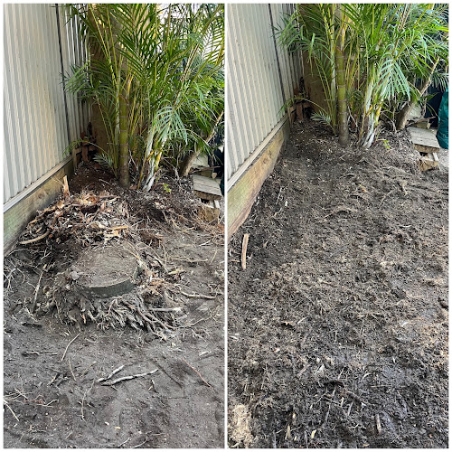 Southside Stump Grinding - Stump Removal Sutherland Shire in Sutherland