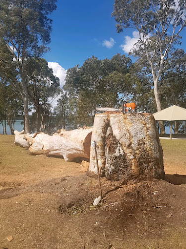 St Ives Tree Service & Removal in Hornsby