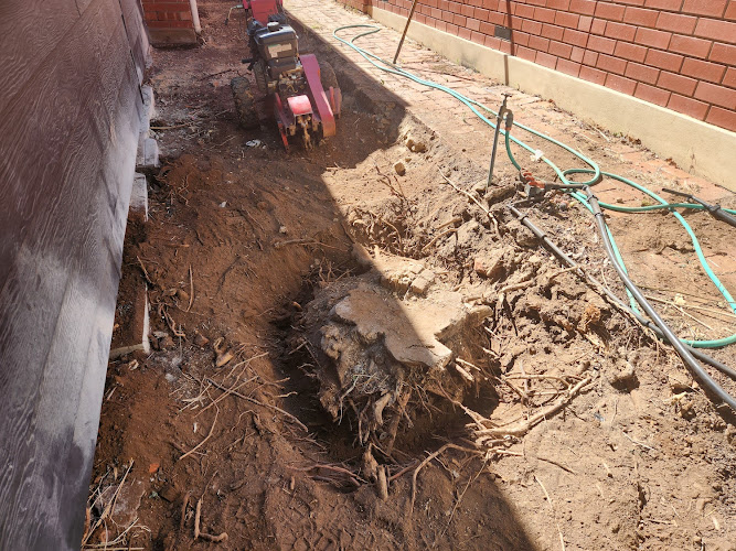 Stump Grinding Adelaide in Adelaide