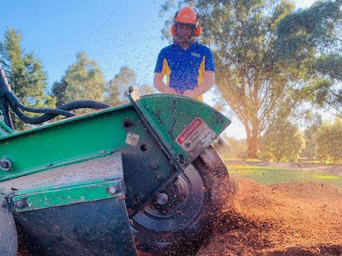 Stump Grinding in Geelong