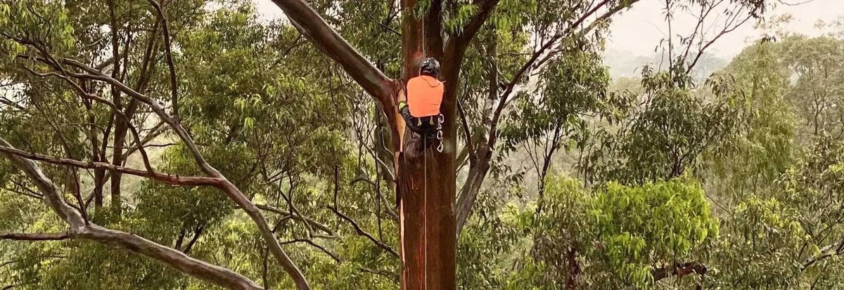Summit Open Space Serivces in Bomaderry