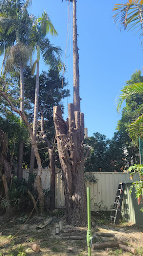Sunny Sydney Tree & Garden Services in Blacktown