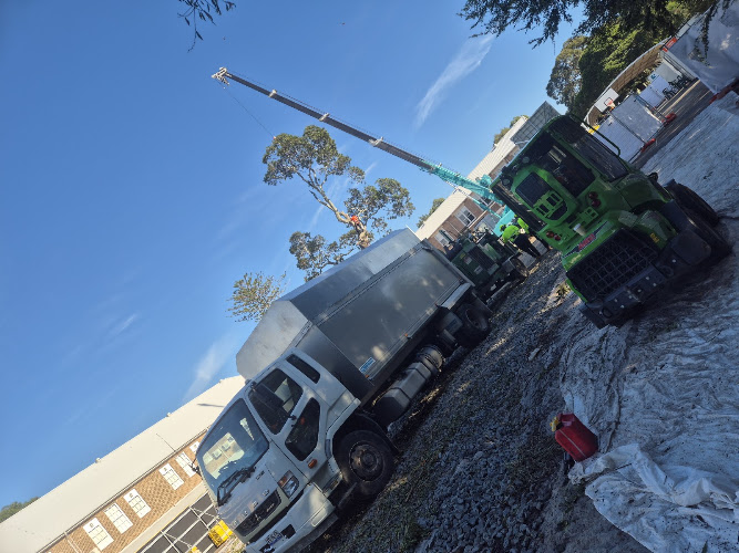 Sydney City Tree Works in Parramatta