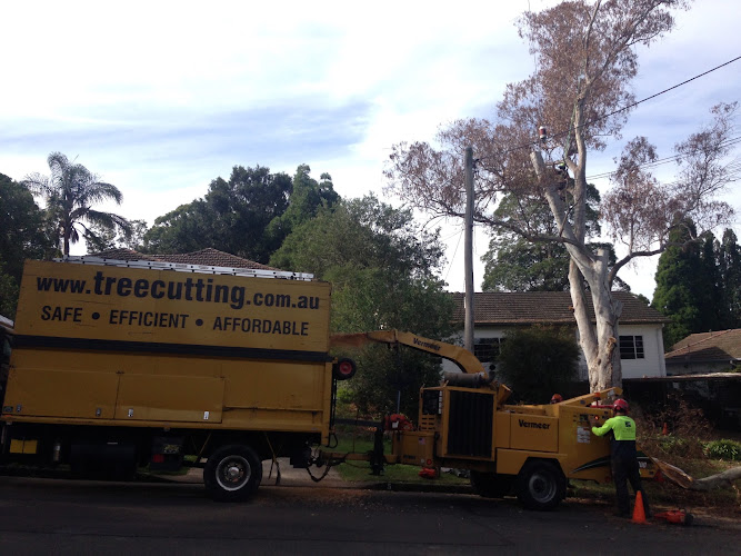 The Tree Cutting Company in Hornsby
