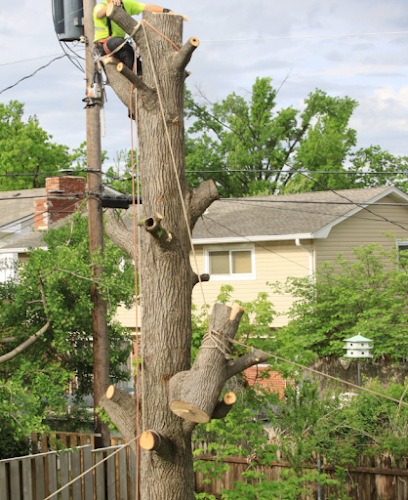 The Tree Lopping Loppers Adelaide in Adelaide