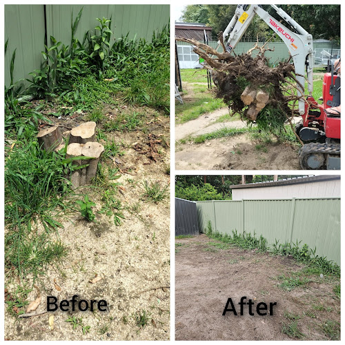 Tight Access Stump Removal in Coffs Harbour