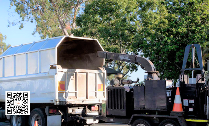 TLC trees and Co in Ashgrove