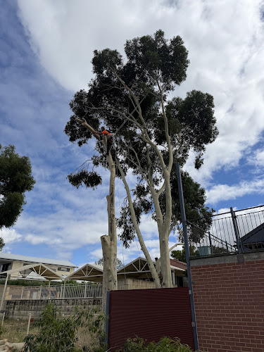 TMS Tree Service in Joondalup