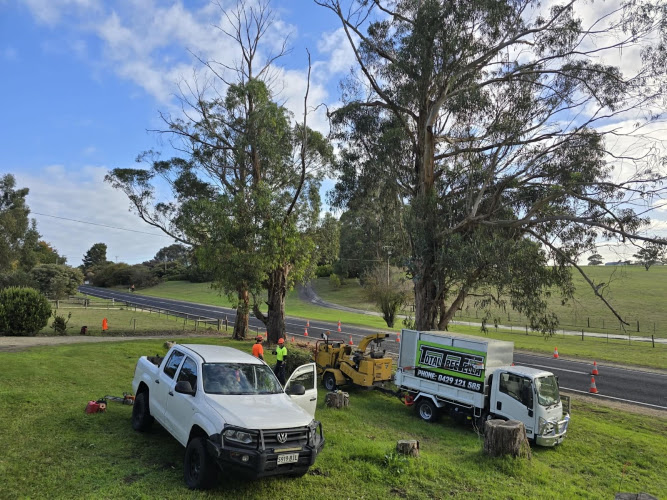 Total Tree Fella in Mount Gambier