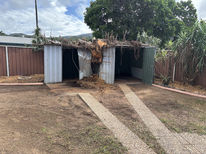 Townsville Stump Tree Surgeons in Townsville