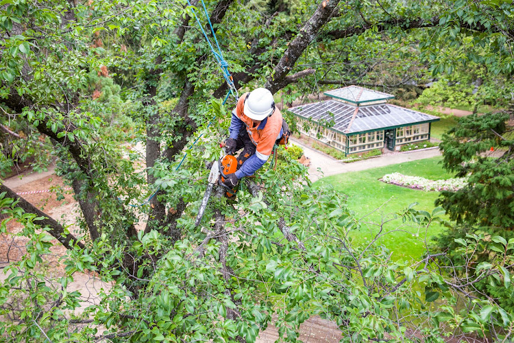 Tree Craft NSW Pty Ltd in Orange