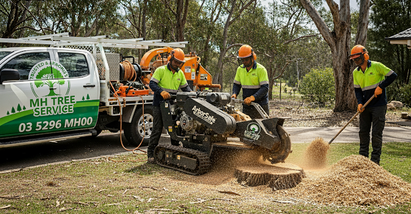 Tree Service MH in Geelong