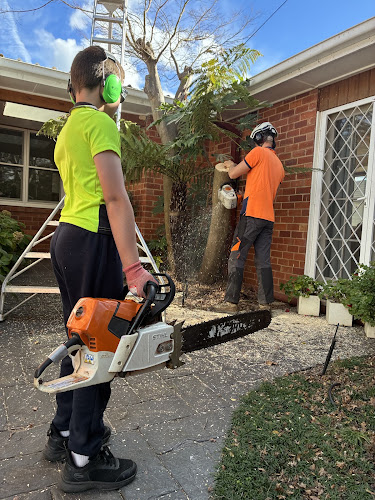Treetops Tree Services in Campbell