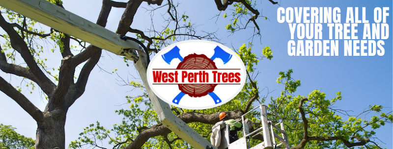 West Perth Trees in Joondalup