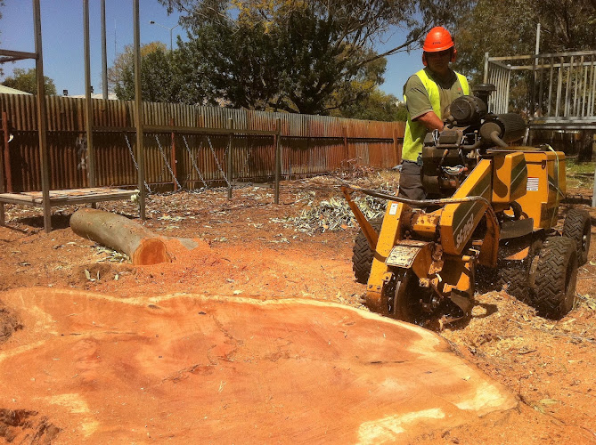 Western Tree Management NSW Pty Ltd in Dubbo