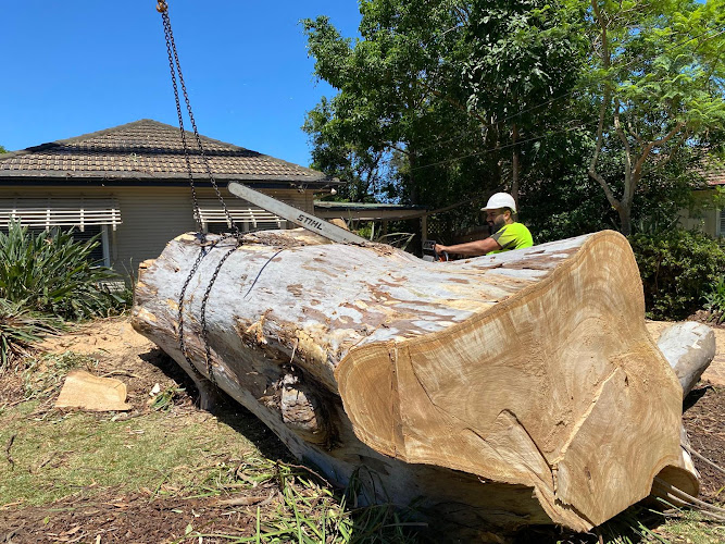 Yarra Tree Services & Removal in Melbourne